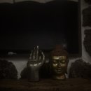 거멍곶낭 이미지