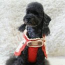 원더우멍 이미지