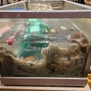 한다무역 | 광명역 결혼식장 광명무역센터컨벤션 웨딩홀 뷔페 주차 내돈내산 하객후기