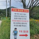 충남천안 은석산 어사 박문수묘 지의류