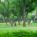 파크 - 성남시 중원구 산성대로 354-5 | 파크