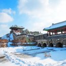 수원-1911 이미지