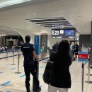 932 | 대한항공 로마 KE932 프레스티지석 후기 - 7A (777-300ER 291여석 모델)