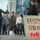 도경상사 | 프로보노 tvN 새 드라마 주목! 2025년 12월 6일 첫방, 줄거리 및 배우진