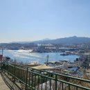 등대경로당 | 동해 묵호 논골담길 오션뷰 맛집임 | 묵호여행 묵호가볼만한곳 스카이밸리 전망대