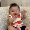 베이비세일 | 자라 베이비 세일 내돈내산 후기｜8개월 남아 여름옷 득템! 사이즈부터 착용 후기까지