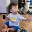 [내돈내산_후기] 아기미용실 동천동 컴리,베베