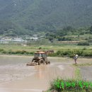 도산일주로 이미지