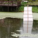 대청호반 이미지