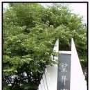 인천비치관광호텔 이미지