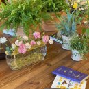 발바닥애견카페 이미지