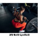 철이 GYM 네이버블로그
