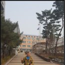 용호초등학교 Daum카페