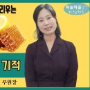 프로폴리스 효과, 천연 페니실린의 기적[벌화분, 벌꿀, 로얄제리,천연비타민, 미량원소, 하늘마을 힐링센터] 이미지