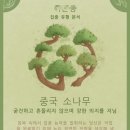 르하바나