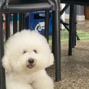 엘로망 | 몽산포해수욕장 맛집 몽산포숯불고깃집 푸짐한 한상