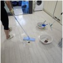 성실클린 이미지