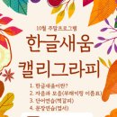 캘리그라피 이미지