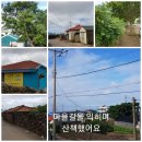 도원마을회관 이미지