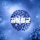 메가엠지씨커피남양주 - 남양주시 늘을2로 26 | 메가엠지씨커피남양주