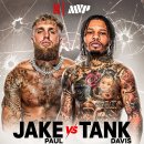 저본타 데이비스 &amp; 제이크 폴 커리어 게이트 수입 이미지