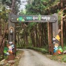 엄광산 | 부산 엄광산 유아숲 체험원 다양한 체험활동이 있는 자연 놀이터