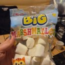 김치당구클럽원주점 | 원주 애견동반 글램핑 바베큐 캠핑식당 캠프그라운드 아이와 후기