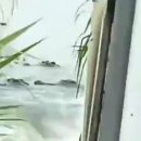 머물농장 이미지