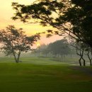 유니카트 이미지