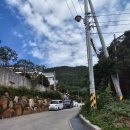 석동물병원 | [진해맛집] 모든메뉴가 신선하고 맛있는 소고기맛집 해운대 연탄 생갈비 진해석동점 후기