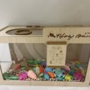 오로지(orogee) 이미지