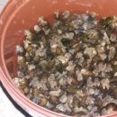 여우별펜션민박 이미지