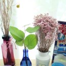 캔들마노 이미지