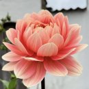 지리산건강원 이미지