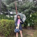 엘린헤어 이미지