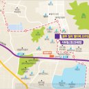 엘리체