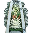 양덕동249 이미지