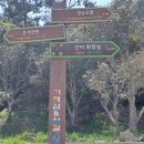 마전삼밭공원 이미지