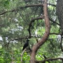 아차산골프연습장 이미지