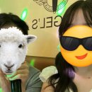 온천노래연습장 이미지