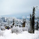 태백산로 이미지