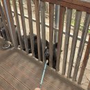 대한농장 이미지