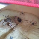 토부농장 이미지