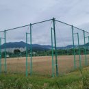 낙동강관리본부 대저생태공원 2 이미지