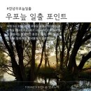 우포의 숲속 | 여름 우포늪 일출 명소 사초군락 후기｜새벽 산책 코스·주차·벌레 대비 팁