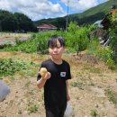 한양대 아이캔태권도장 | 신월동태권도, 주말 프로그램도 알찬한양대차오름태권도장!! | 촌캉스 | 주말 프로그램 | 1박2일 캠프...