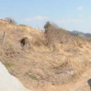 완도공인중개사사무소 이미지