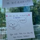 스테이안봉 이미지