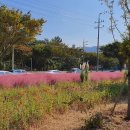 논공(대구) 이미지