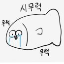 착한제주고등어 이미지